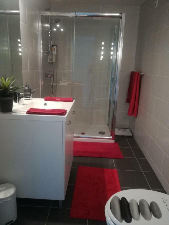Apartment Ma Maison Fleurie Proche Aeroport Lyon St Exupery, Ldlc Arena, Groupama Stadium,eurexpo *