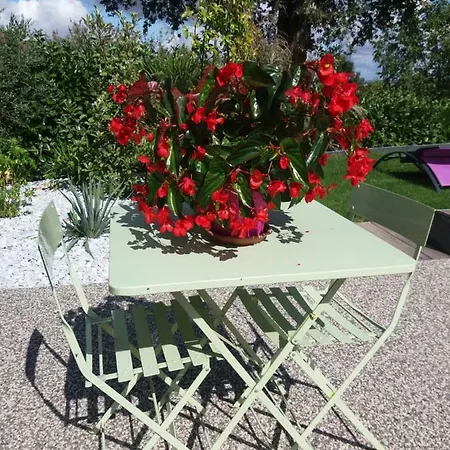 Ma Maison Fleurie Proche Aeroport Lyon St Exupery, Ldlc Arena, Groupama Stadium,Eurexpo Janneyrias Exterior foto