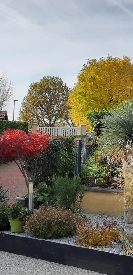 Ma Maison Fleurie Proche Aeroport Lyon St Exupery, Ldlc Arena, Groupama Stadium,eurexpo Appartement *