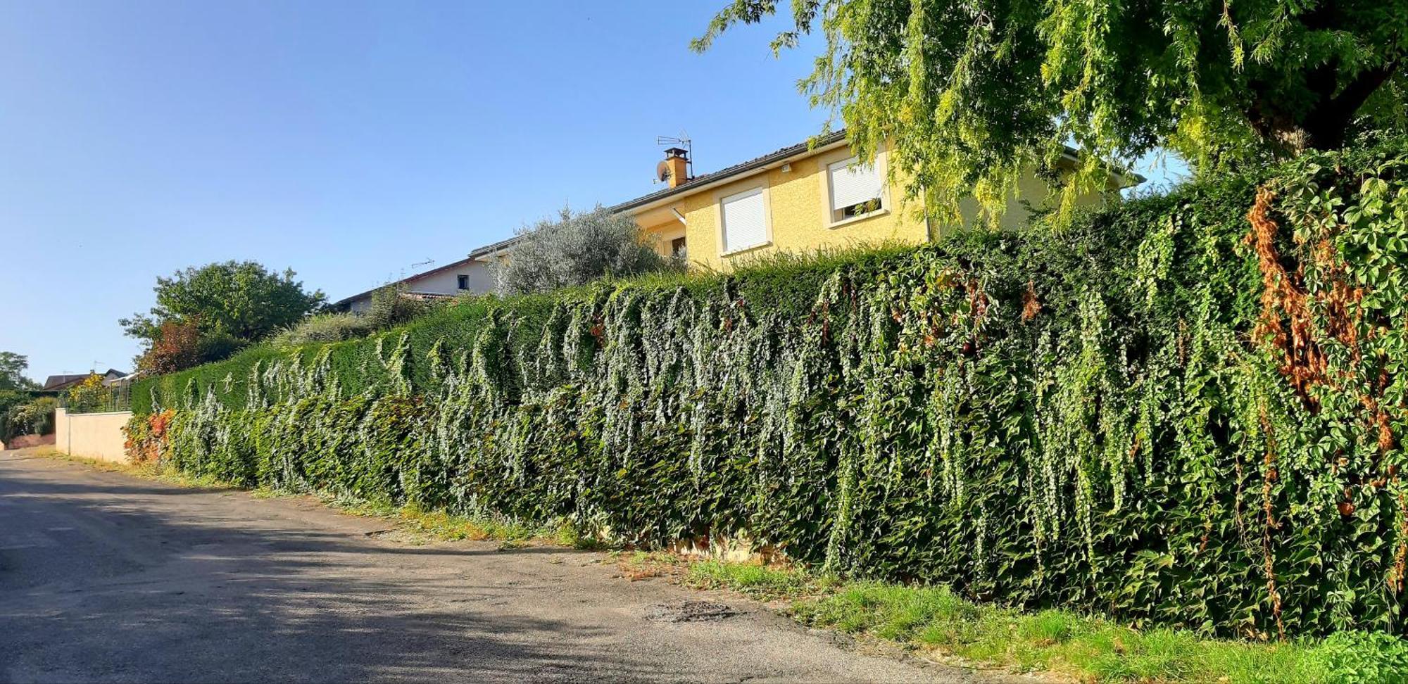 Ma Maison Fleurie Proche Aeroport Lyon St Exupery, Ldlc Arena, Groupama Stadium,eurexpo Appartement