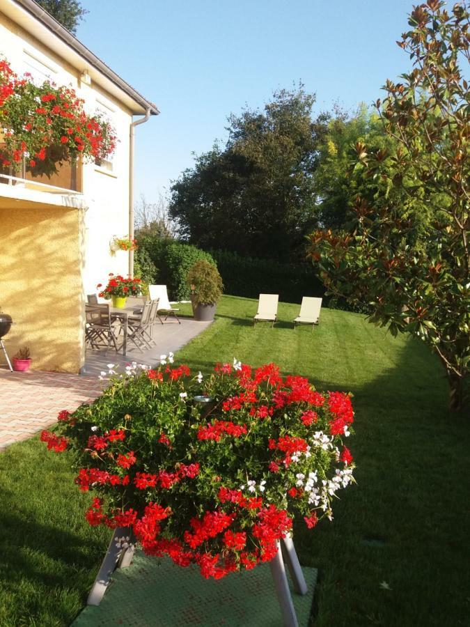 Ma Maison Fleurie Proche Aeroport Lyon St Exupery, Ldlc Arena, Groupama Stadium,eurexpo Apartment Janneyrias