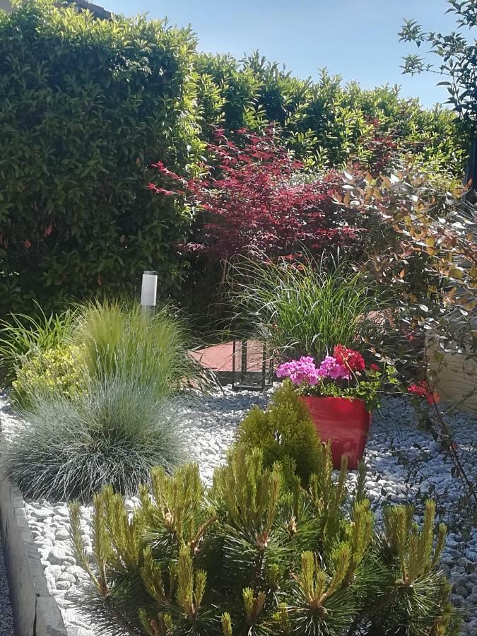Ma Maison Fleurie Proche Aeroport Lyon St Exupery, Ldlc Arena, Groupama Stadium,eurexpo Apartment *